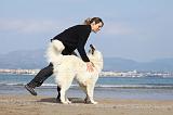ADULTE ET CHIEN 117